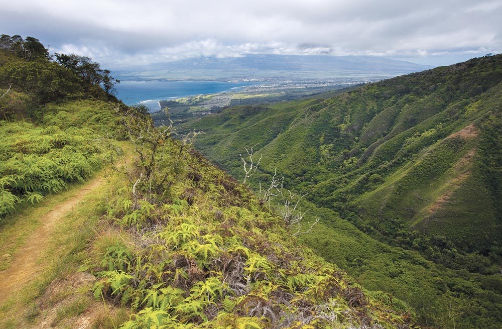 Maui Brunch Spots With Mimosas for a Perfect Morning Meal