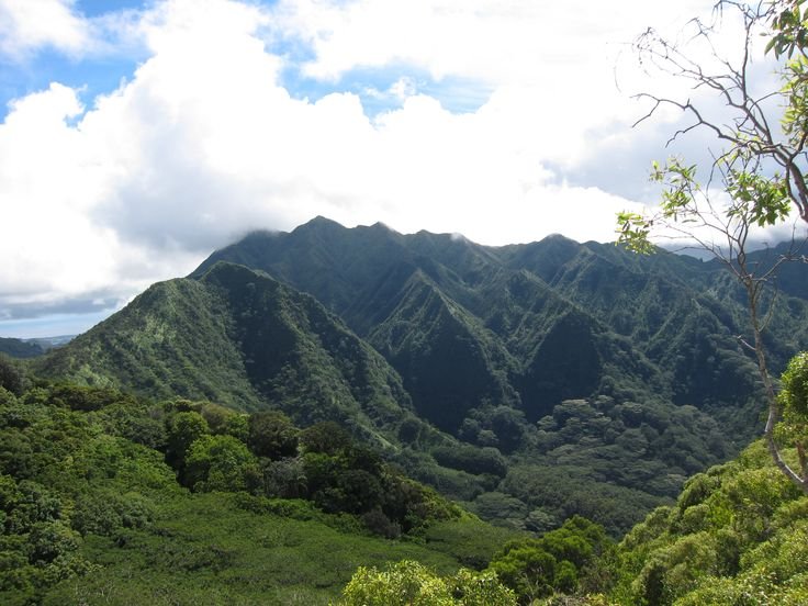 Maui Food Trucks Offer Authentic Hawaiian Local Plates