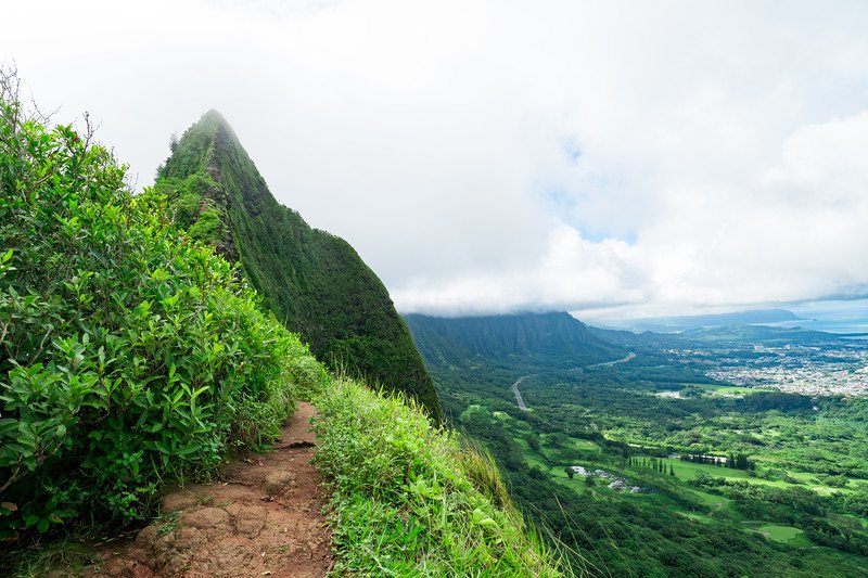 Maui Seafood Platters Restaurants Offering the Best Fresh Island Catches